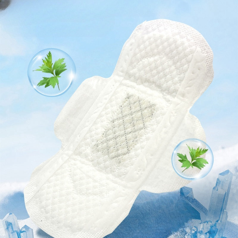 Pure Natural Mugwort Herbal Day And Night Sanitary Pad 10 Boxes Combo