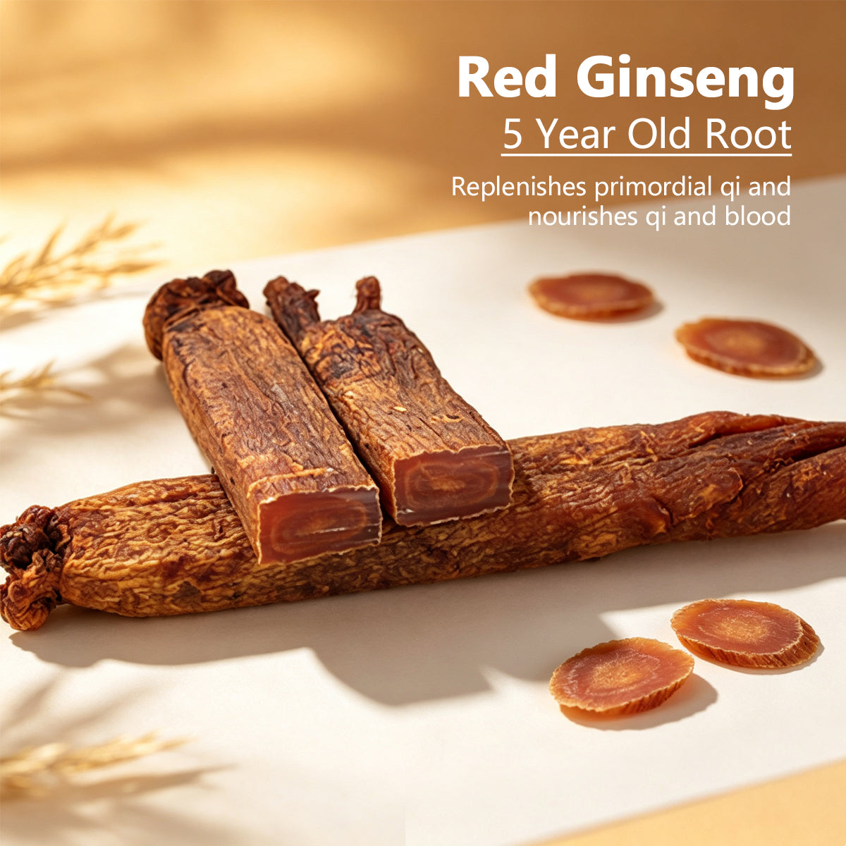 6-Year-Old Root Red Ginseng – 20g Net Weight | 30 Count Grade (approx. 30-38 roots per 600g)